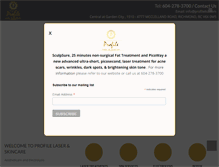Tablet Screenshot of profileltd.com